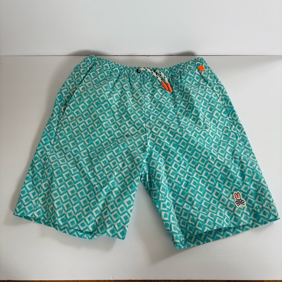 Psycho Bunny Other - Psycho Bunny Boy Wave Blue White Honeycomb Graphic Print Swim Trunks 10/12 Logo